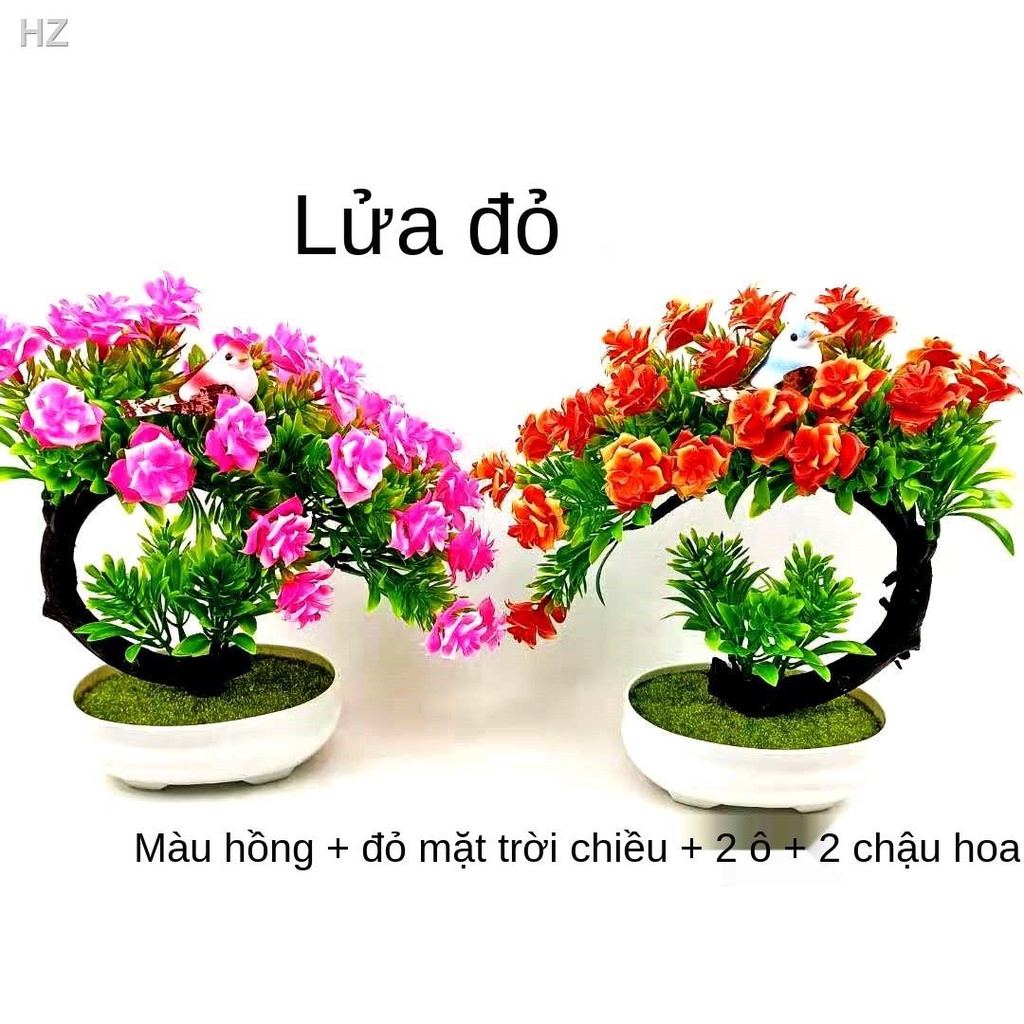 R[Hoa + chậu chim] hoa giả mô phỏng trang trí phòng khách hồng tủ rượu hiên nhà bán buôn cây