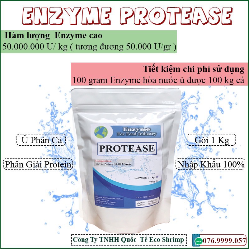 Men Ủ Phân Cá Enzyme Protease phân giải protein sản xuất nước mắm,  phân bón hữu cơ # Enzyme Protease Nguyên liệu