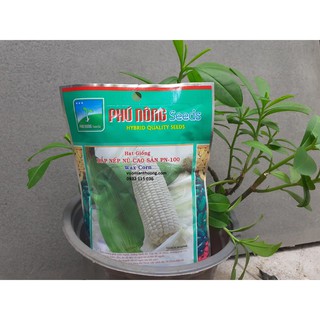 [ PhÚ Nông] Bắp Nếp Nù Phú Nông, Bắp Trắng Cao Sản Gói 100g
