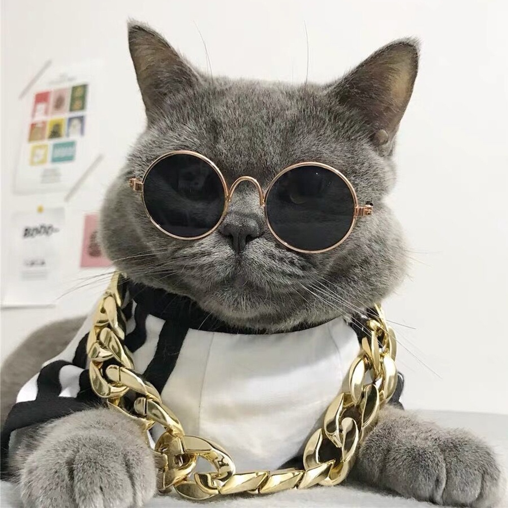 Kính mát sành điệu thời trang cho chó mèo cưng