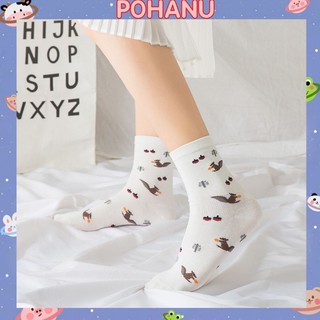Set 3 đôi vớ Pohanu cổ cao nữ vintage dày xịn giá rẻ đẹp TN108