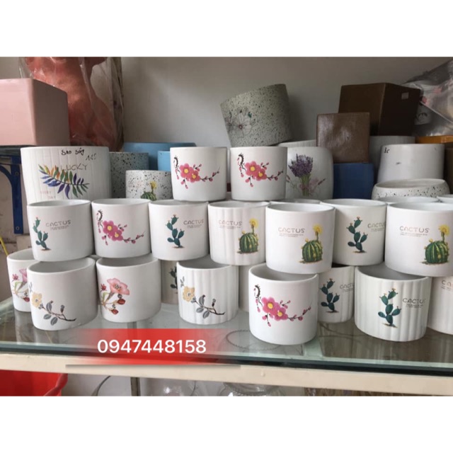 Chậu trồng cây mini - sứ Bát Tràng