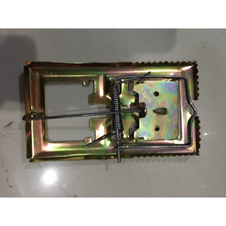 Bẫy đập chuột dày (Sắt xi vàng)
