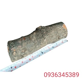 Gỗ nhãn ghép lan, đường kính 5-7 cm, dài 20-30 cm