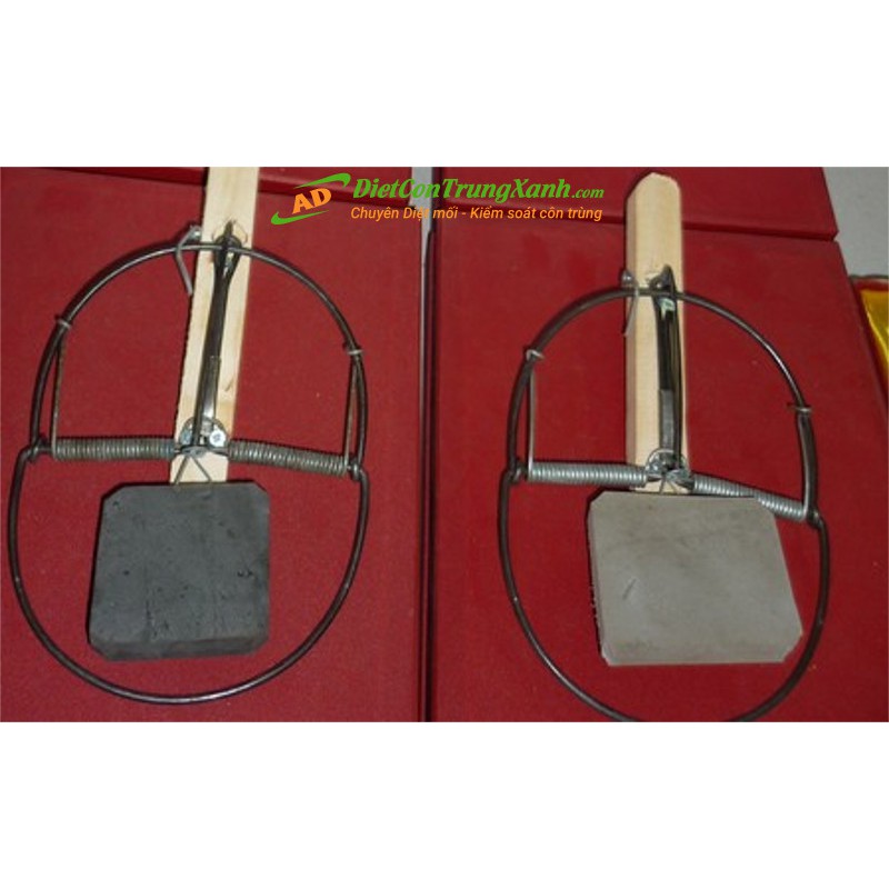 Combo Bẫy chuột bán nguyệt 5 chiếc