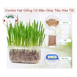Combo Hạt Giống Cỏ Mèo Giúp Tiêu Hóa Tốt | cỏ mèo | thức ăn cho mèo | đồ chơi cho mèo