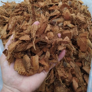 Giá Thể Xơ Dừa Trồng Lan, Cây Cảnh, Xơ dừa miếng xuất khẩu Nhật Bản, đã xử lý chát và vi sinh