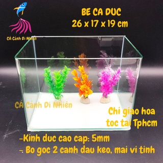 Bể kính đúc mini để bàn 2 cạnh uốn cong, hồ nuôi cá size 26x17x19 cm