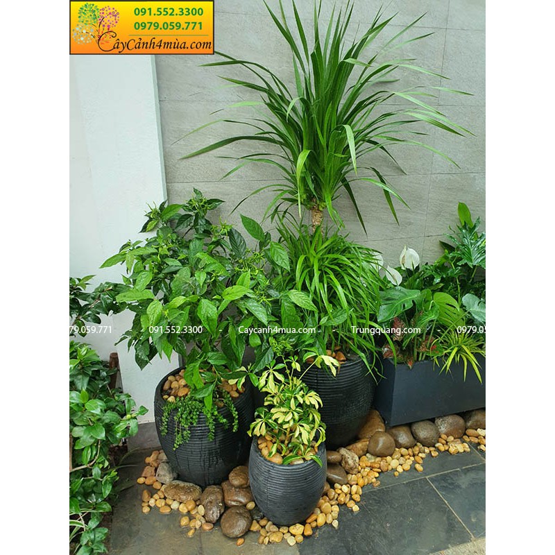 Chậu xi măng nhẹ kẻ ngang hình chum - Chậu trồng cây xi măng
