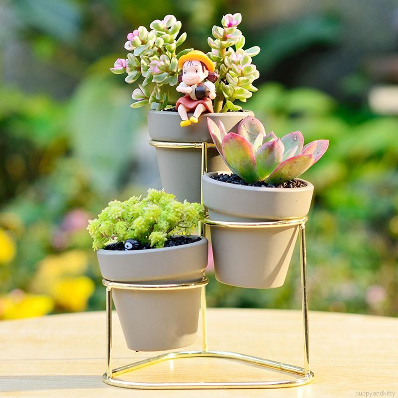 Chậu Cây Cảnh Để Bàn Kiểu Dáng Đơn Giản Xinh Xắn