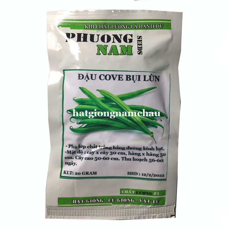 10GR - HẠT GIỐNG ĐẬU COVE XANH BỤI LÙN