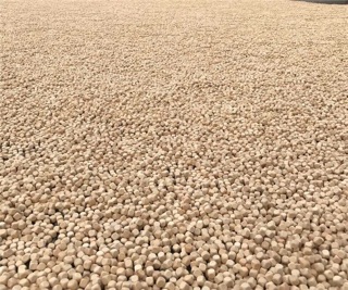 Hạt gỗ xúc cát (1kg)