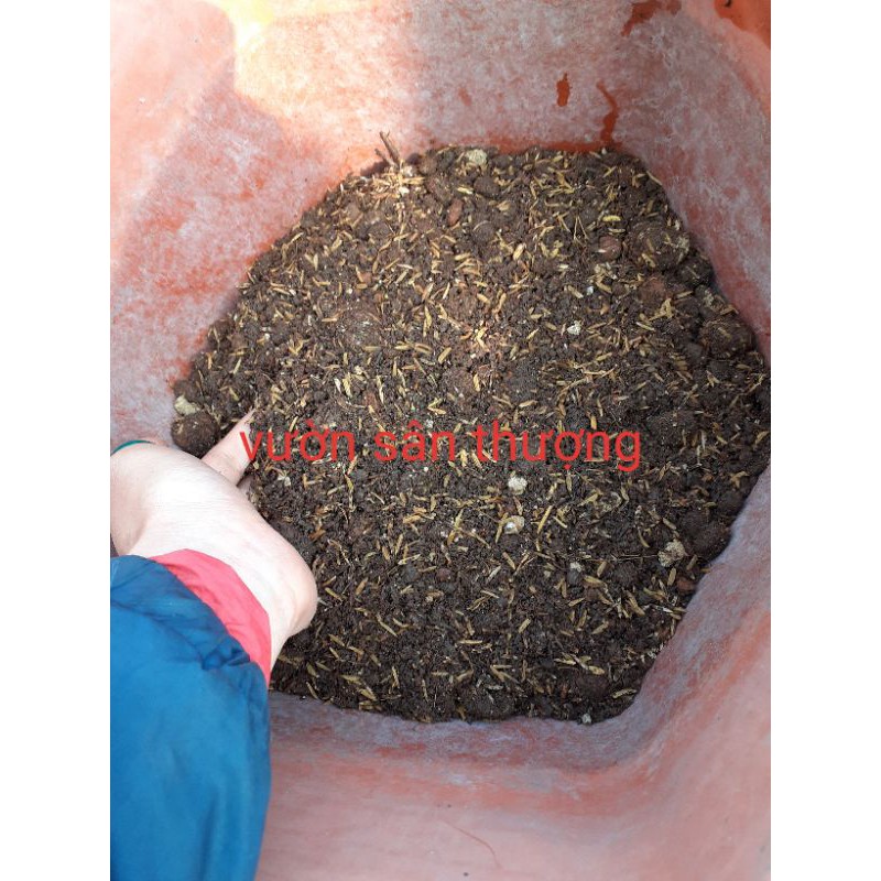 Đất trồng dành riêng cho hoa hồng cao cấp 20dm3