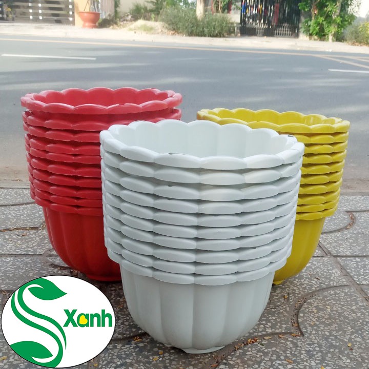 Chậu trồng cây treo size lớn