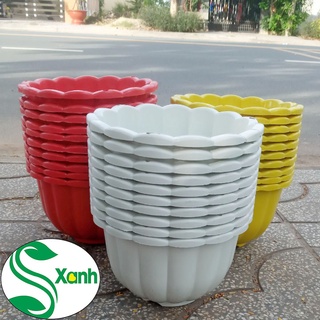 Chậu trồng cây treo size lớn