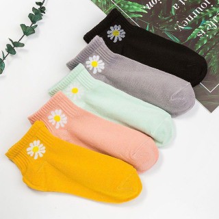 set 10 đôi tất hoa cúc kèm túi xinh