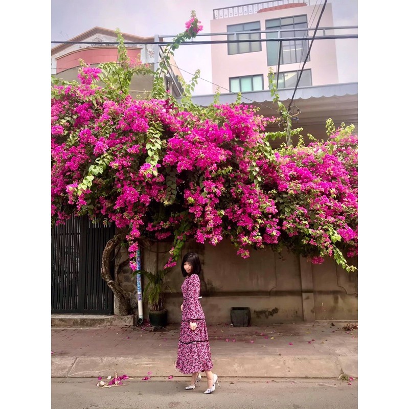 Đầm thiết kế/Ảnh tự chụp | BigBuy360 - bigbuy360.vn