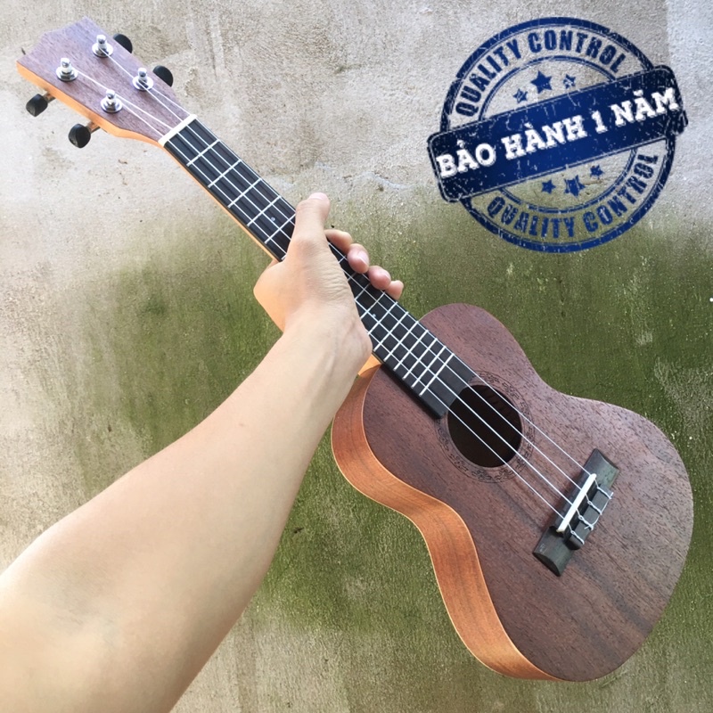Đàn Ukulele gỗ gụ cao cấp | Size Concert 23'.