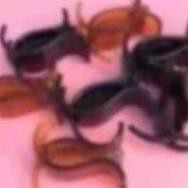 Kẹp càng cua 3 răng - Dorita Boutique