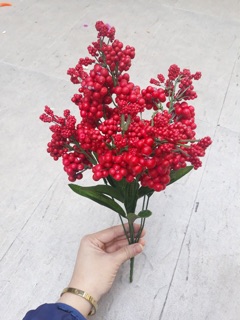 Hoa điểm 1 bụi hoa bi xốp