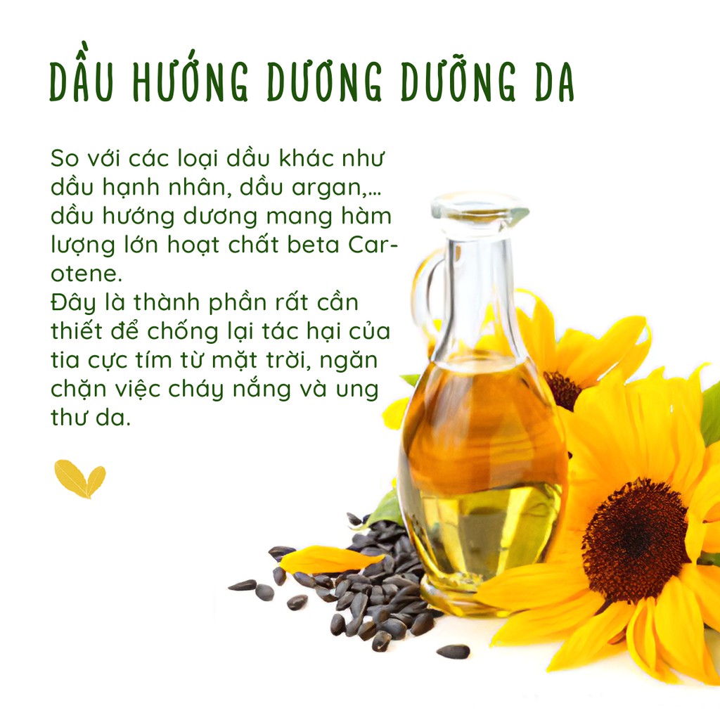 Chai Lăn Dầu Hướng Dương giúp làm mềm da giữ ẩm cho da và làm dịu kích ứng PUREVESS 10ml