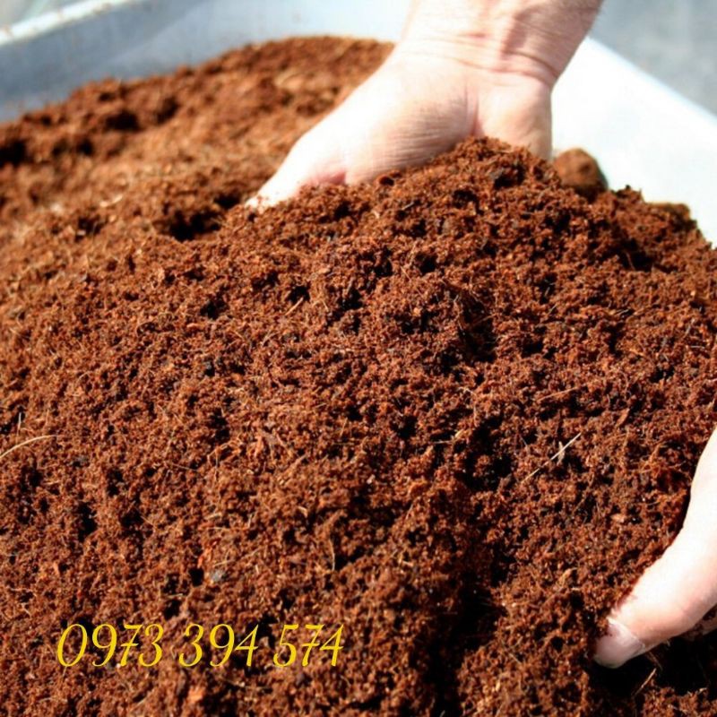 Xơ dừa, mùn dừa trồng cây