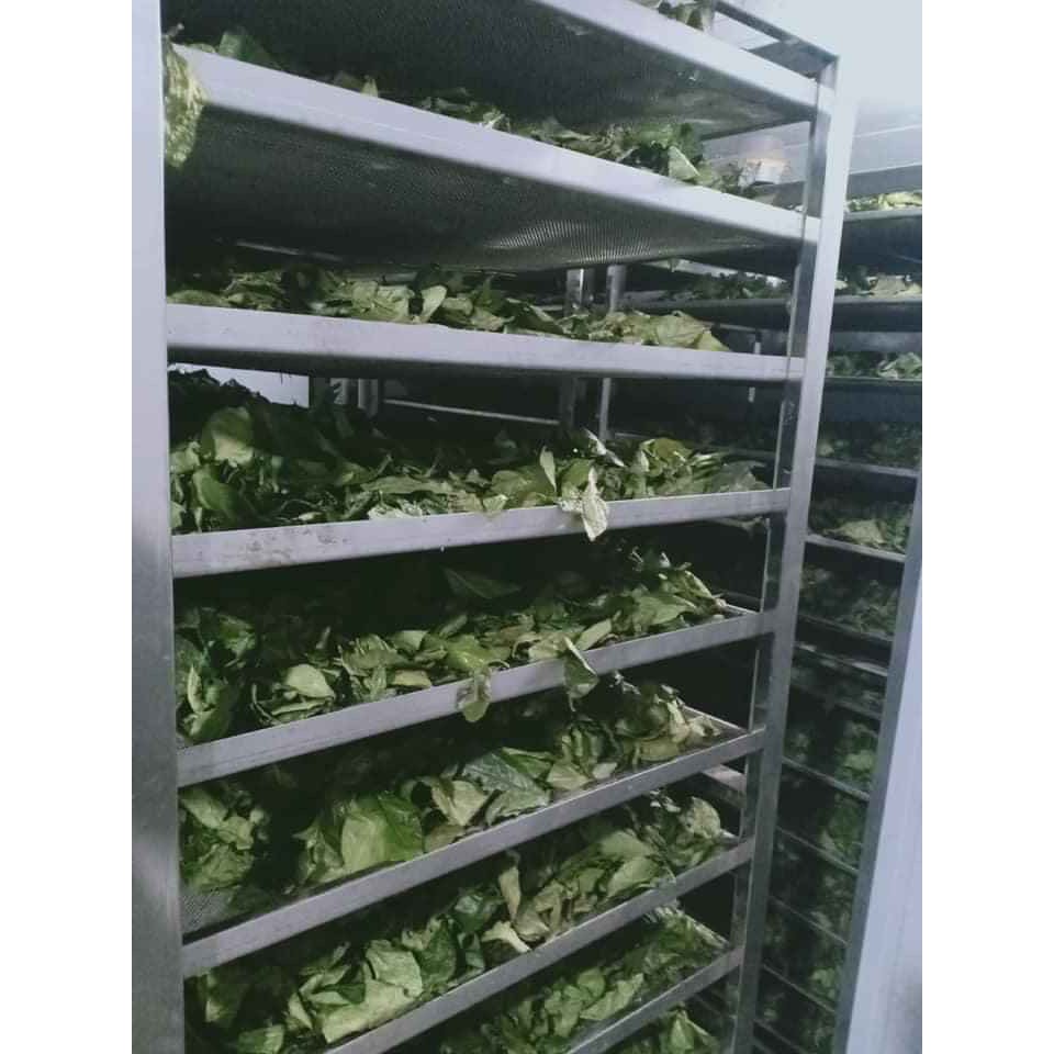 Bột cám gạo trà xanh cô gái đắp mặt,rửa mặt và tắm trắng body chính hãng | BigBuy360 - bigbuy360.vn