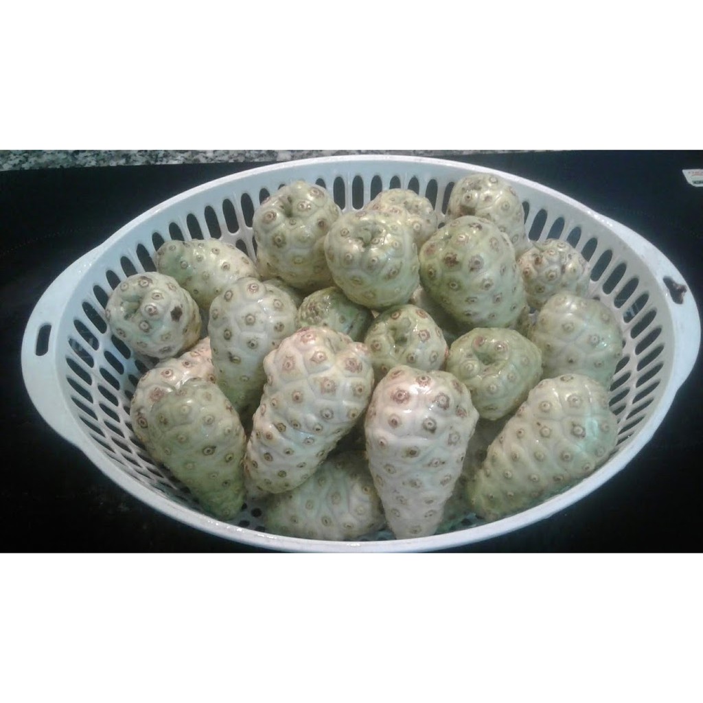 Trái Nhàu khô - gói 1Kg