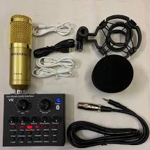 Mic Thu Âm BM-800/BM-900