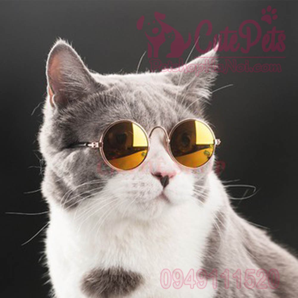 Kính quàng thượng dành cho chó mèo nhỏ - CutePets Phụ kiện thú cưng Pet shop Hà Nội