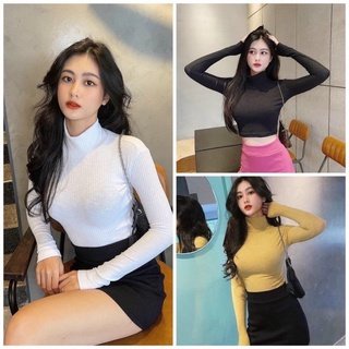 Áo croptop dài tay nữ cổ lọ chất thun tăm dáng ôm SIÊU HOT TREND