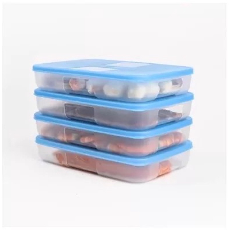 Hộp trữ đông dẹt 650ml Tupperware