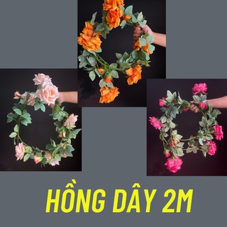 Hoa Hồng Dây, Hoa Lụa Trang Trí Đẹp Nhất ABSHOP COM VN