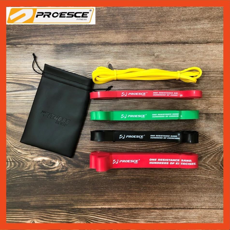 Dây Kháng Lực Power Band Proesce Đa Năng Hỗ Trợ Tập Luyện, Hỗ Trợ Lên Xà