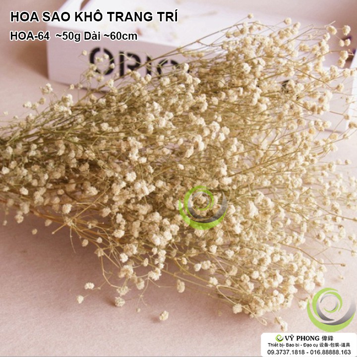 HOA SAO KHÔ BÓ 50G TRANG TRÍ NHÀ CỬA ĐẠO CỤ CHỤP ẢNH SẢN PHẨM INS HOA-64