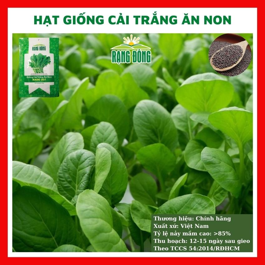 Hạt giống cải trắng ăn non - rau củ quả trồng chậu, sân vườn ban công tỉ lệ nảy mầm cao 30g RADO207