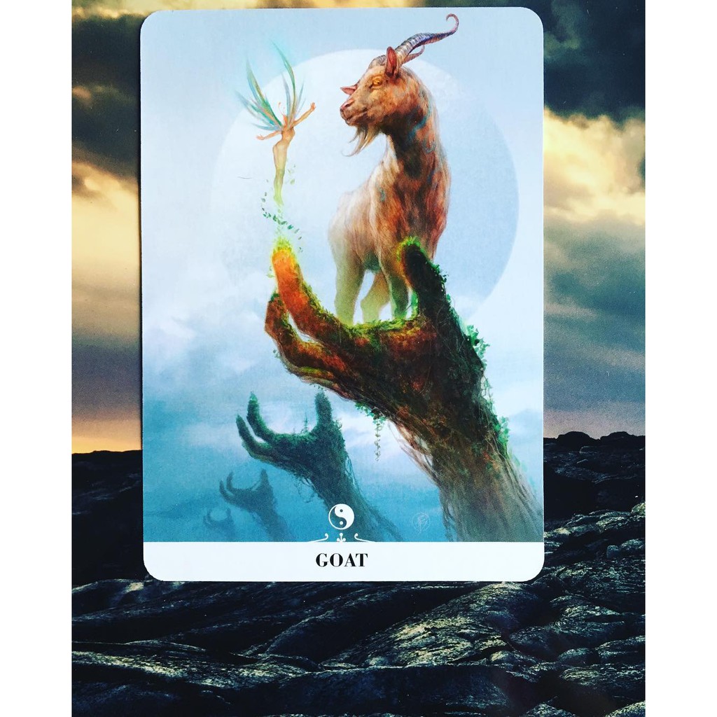 Bộ Bài Barbieri Chinese Oracle  - Bài Gốc Authentic Chính Hãng 100%