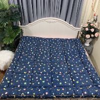 Tấm bảo vệ nệm (topper)