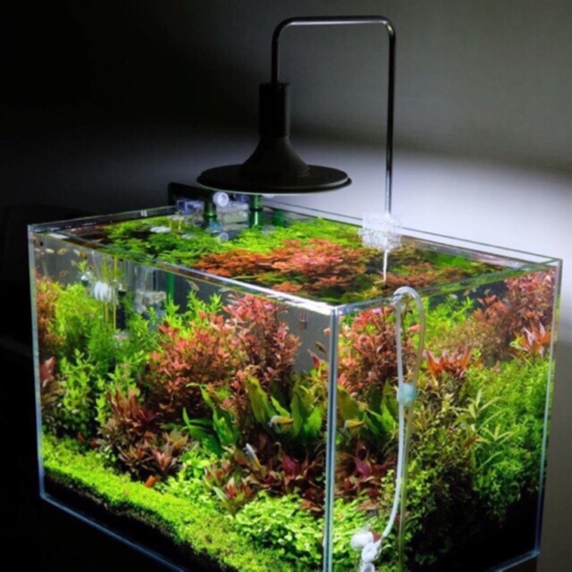 Đèn Led Rọi XINMA Cao Cấp 20W Cho Hồ Thuỷ Sinh