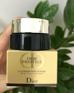 Mini cushion Dior