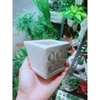 Chậu Trồng Cây (cao 7cm, ngang 7cm)