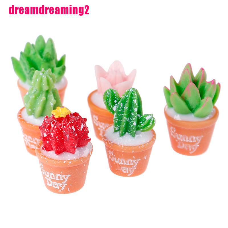 Bộ 5 Bức Tượng Xương Rồng mini Trang Trí