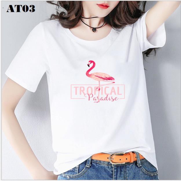 Áo thun nữ Cotton co giãn 4 chiều Pink AT01