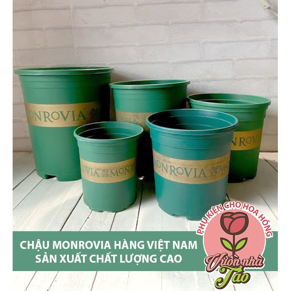 CHẬU MONROVIA hàng VIệt chất lượng cao [ size 1-5gl]