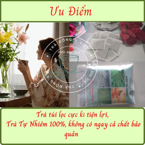 TRÀ DIỆP HẠ CHÂU - 40 Túi Lọc, Thanh Nhiệt, Mát Gan, Hỗ Trợ Gan hiệu Quả