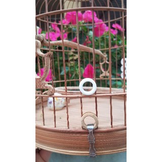 Bộ 3 cái sổ xương dành cho lồng chim cảnh vành khuyên