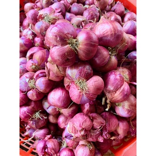 Hành vĩnh châu ngon 0,5kg