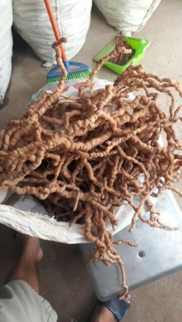 Ba kích tím chuẩn hàng Việt Nam [1kg]