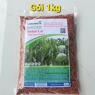  Hạt Giống Cỏ Sudan Lai  Gói 1kg  - Dòng Cỏ Ngô Đảm Bảo Tỉ Lệ Nảy Mầm Cao 