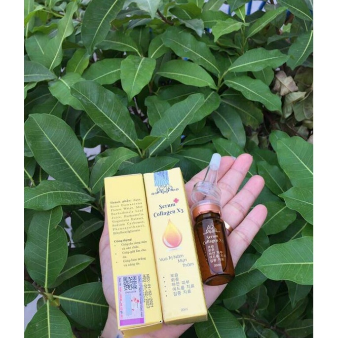 Serum collagen X3 Đông Anh